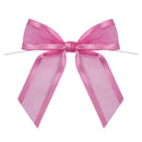 Organza Satin-Edged Bow with Twist Tie