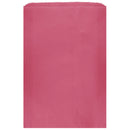 Colored Flat Paper Merchandise Bag