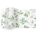 Botanicals and Special Occasions Printed Tissue Paper