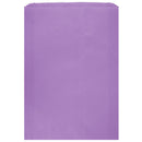 Colored Flat Paper Merchandise Bag