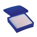 Frosted Plastic Earring or Pendant Box