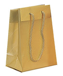 Fashion Frosted Plastic Bag with Rope Handles