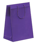 Fashion Frosted Plastic Bag with Rope Handles