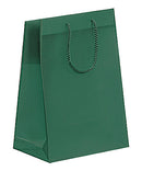 Fashion Frosted Plastic Bag with Rope Handles