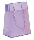Fashion Frosted Plastic Bag with Rope Handles