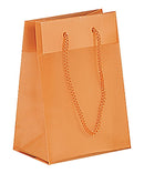 Fashion Frosted Plastic Bag with Rope Handles