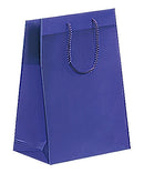 Fashion Frosted Plastic Bag with Rope Handles