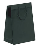 Fashion Frosted Plastic Bag with Rope Handles