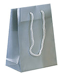 Fashion Frosted Plastic Bag with Rope Handles