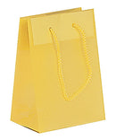 Fashion Frosted Plastic Bag with Rope Handles