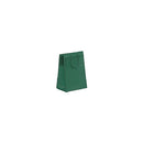 Fashion Frosted Plastic Bag with Rope Handles