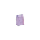 Fashion Frosted Plastic Bag with Rope Handles