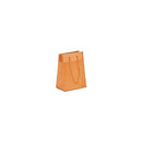 Fashion Frosted Plastic Bag with Rope Handles