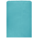 Colored Flat Paper Merchandise Bag