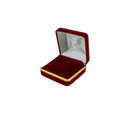 Velvet Tie Clip Box with Gold Rims and Matching Insert