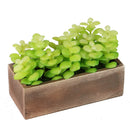 Lifelike Plant in Rustic Wooden Pot