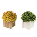 Lifelike Plant in Rustic Wooden Pot