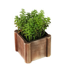 Lifelike Plant in Rustic Wooden Pot