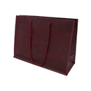Non-Woven Bag with Rope Handles