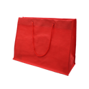 Non-Woven Bag with Rope Handles