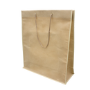 Non-Woven Bag with Rope Handles