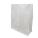 Non-Woven Bag with Rope Handles