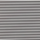 Superior Wrapping Paper