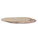 Bracelet Birch Slice Jewelry Display