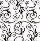 Elegant Prints Cellophane Rolls