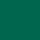 Elite Tissue Paper - 15" x 20"