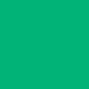 Elite Tissue Paper - 20" x 30"