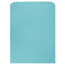 Colored Flat Paper Merchandise Bag