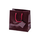 Laminated Glossy Euro Tote Bags