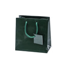 Laminated Glossy Euro Tote Bags