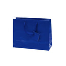 Laminated Glossy Euro Tote Bags