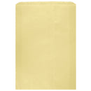 Colored Flat Paper Merchandise Bag