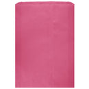Colored Flat Paper Merchandise Bag