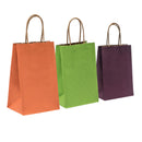 Natural Tints with Shadow Stripes Paper Bag