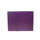 Colored Paper Bag