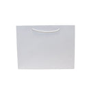 Colored Paper Bag