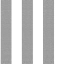 Silver Stripes Printed Tissue Paper