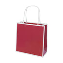 San Francisco Bag