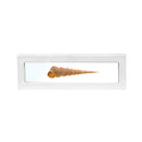 Matte Paper Bracelet Display Box