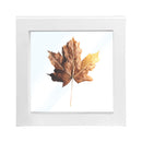 Matte Paper Large Pendant Display Box