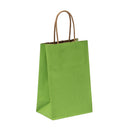 Natural Tints with Shadow Stripes Paper Bag