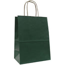 Natural Tints with Shadow Stripes Paper Bag