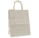 Natural Tints with Shadow Stripes Paper Bag