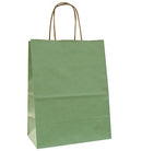 Natural Tints with Shadow Stripes Paper Bag