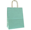 Natural Tints with Shadow Stripes Paper Bag