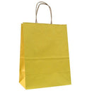 Natural Tints with Shadow Stripes Paper Bag